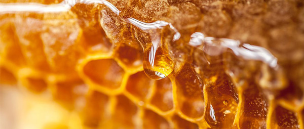мёд в сотах