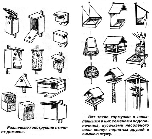 птичьи кормушки