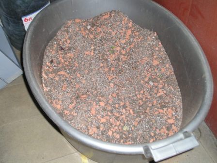 про кактусы и о кактусах