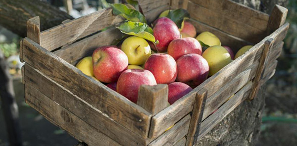 яблоки в деревянном ящике